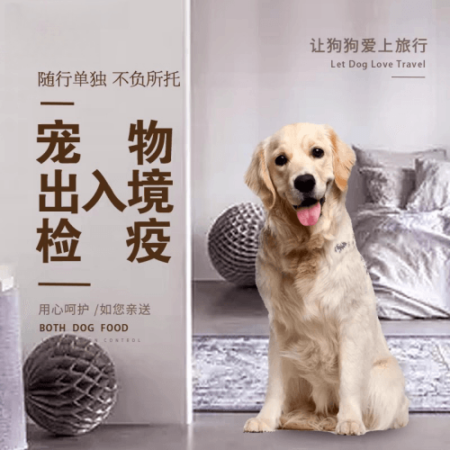 云南省宠物托运到哥伦比亚猫狗宠物入境规定和