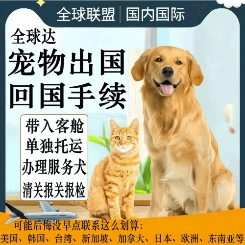 云南省宠物托运到柬埔寨宠物入境规定和要求