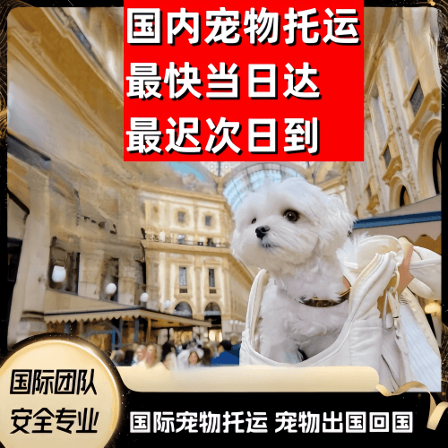 云南省到澳大利亚（澳洲）宠物入境规定和要求